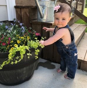 Meet your Posher, Donna